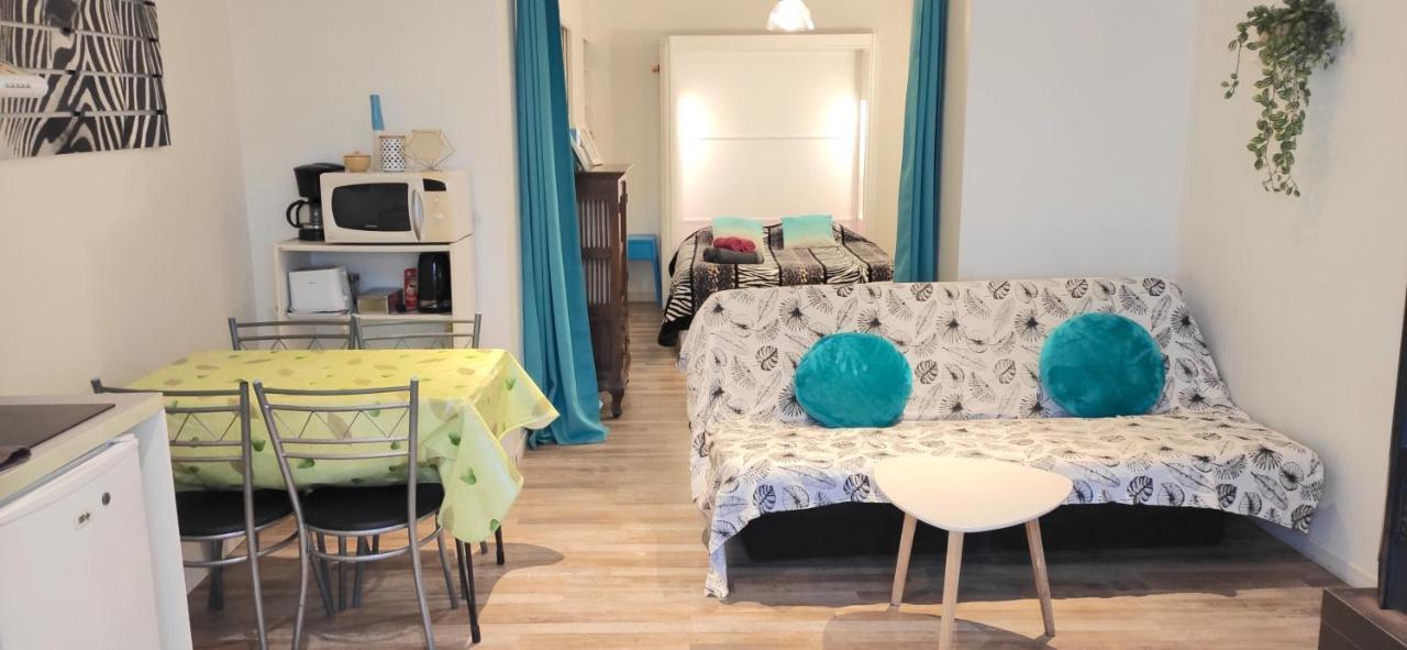 Grand Studio Cahors Centre Rdc Proche Gare Pont Valentre Διαμέρισμα Εξωτερικό φωτογραφία